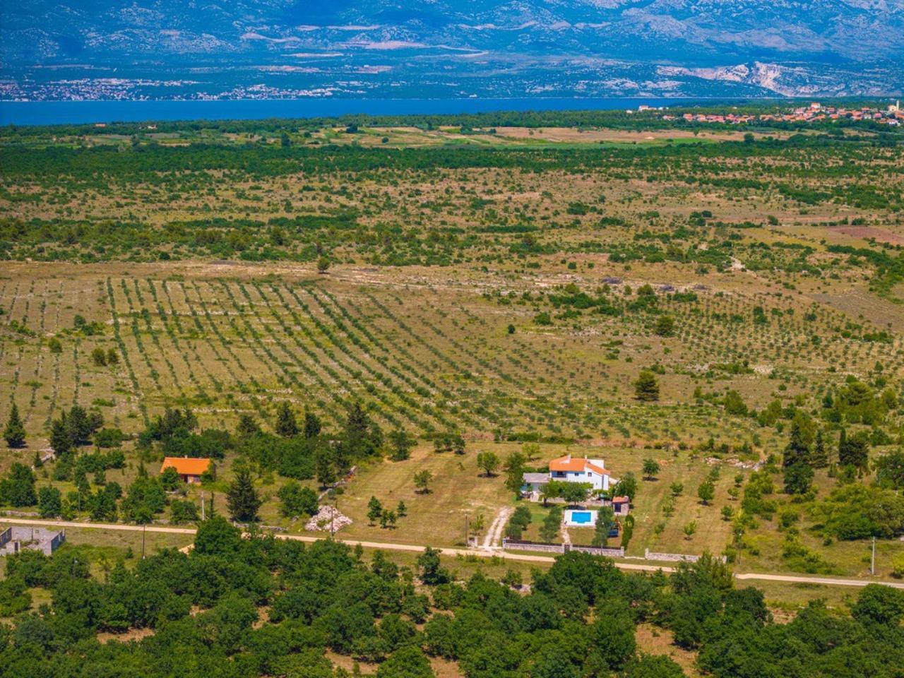 Villa Mandorla Zadar Exterior foto